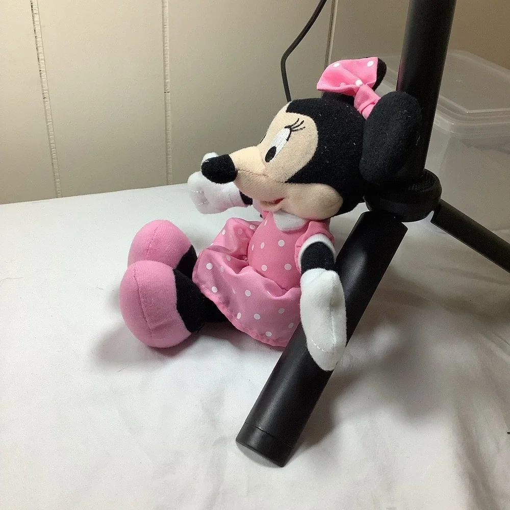 Disney bring home